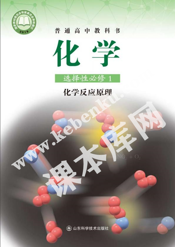 山東科學(xué)技術(shù)出版社普通高中教科書高中化學(xué)選擇性必修一化學(xué)反應(yīng)原理(2019版)電子課本